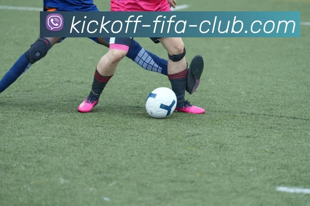 世界杯官网发展历程